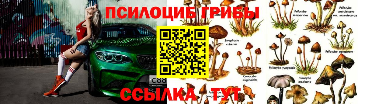 Вятские Поляны  Галлюциногенные грибы Magic Shrooms  Псилоцибиновые грибы MAGIC MUSHROOMS  Вход с VPN 