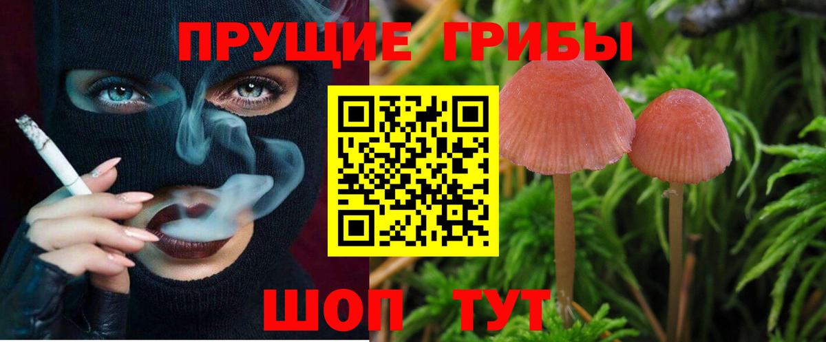 Галлюциногенные грибы Psilocybine cubensis Вятские Поляны